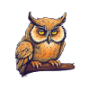 Nachteule Eule Eulen Vogel