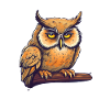 Nachteule Eule Eulen Vogel