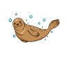 Aqua Doggo