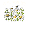 Marguerites Daisy Summer Daisies Flower Garden