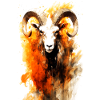 Dickhornschaf