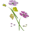 Blumen, Fleurs