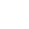 Französische Bulldogge