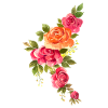 Roses Aquarelle Bouquet