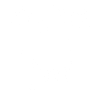 Original 100% Joel