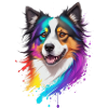 Collie