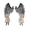 Angel's Wings / Skrzydła Anioła
