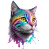 Chat