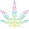 Cannabis
