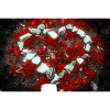 Stoneheart
