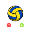 Appelez le ballon volleyball
