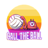 Appelez le ballon volleyball