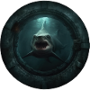 Requin