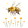 Little bee