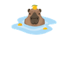 Capybaran lahjaideameemi Capybara Capybara