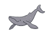 Kawaii Whale - Baleine grise