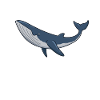 Kawaii Whale - Minke Whale