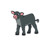 Kawaii Black Angus Beef