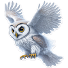 Sweet flying snow owl