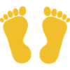 Foot Yellow Feet Podiatry Podiatry