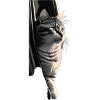 T shirt cat