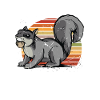 Crazy Squirrel Lady Squirrel Fuchshörnchen