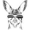 Lunettes de soleil kangourou