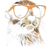 Gopher Sunglasses