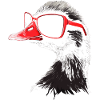 Gänse Sonnenbrille