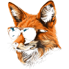 Fox Sunglasses