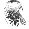 Lunettes de soleil Falcon