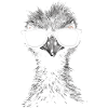 Emu Cool Sunglasses