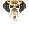 Lunettes de soleil d'éléphants