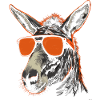 Lunettes de soleil d'âne