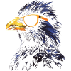 Crow Sunglasses