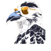 Crow Cool Sunglasses