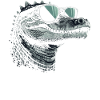 Crocodile Sunglasses