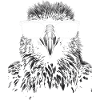 Crow Sunglasses Cool