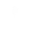 Podcaster Podcast