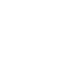 Developer Coder Programmer