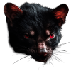 Tasmanian devil head