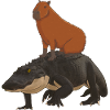 Capybara on Alligator
