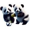 Panda freunde