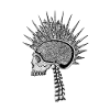 Natural Intelligence Transparent Skull