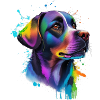 Labrador