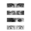 Eyes on climate change