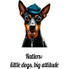 Ratler little dog, big attitude