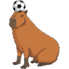 Capybara Football