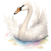 Cygne