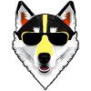 white husky with sunglasses